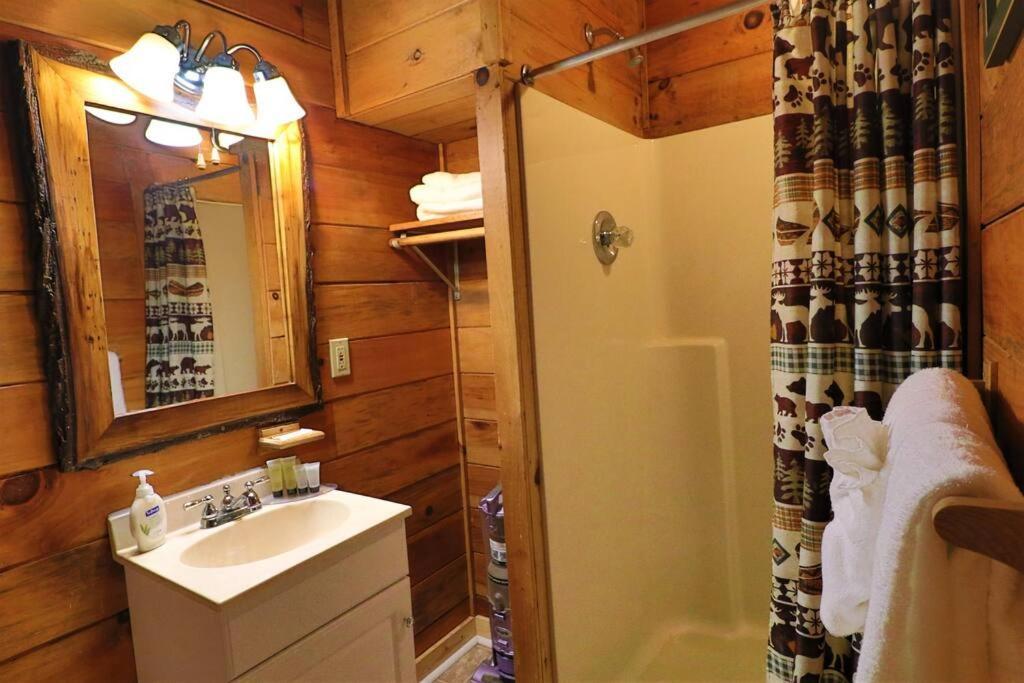 Alpine Mountain Sweetheart Cabin Jacuzzi #6 Helen Eksteriør billede