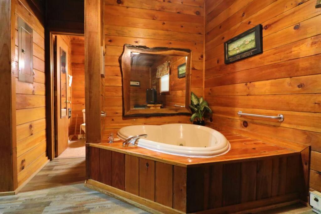 Alpine Mountain Sweetheart Cabin Jacuzzi #6 Helen Eksteriør billede