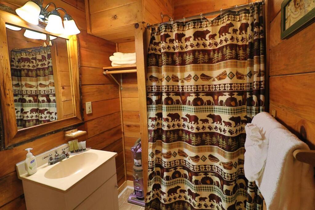 Alpine Mountain Sweetheart Cabin Jacuzzi #6 Helen Eksteriør billede